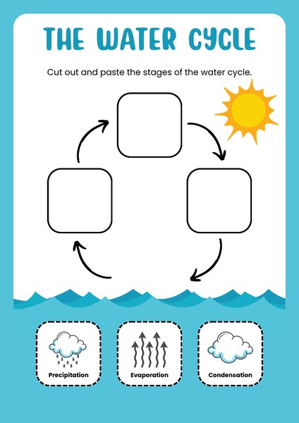 The Water Cycle