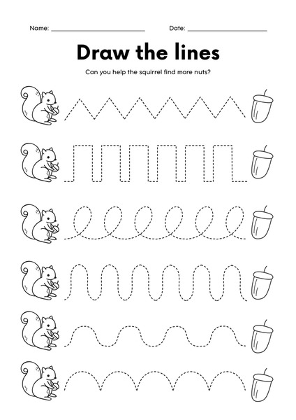 Trace the Lines - Squirrel