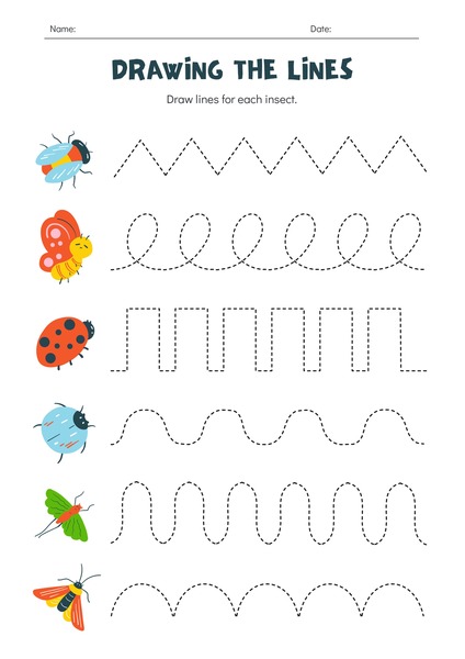Tracing the Lines - Insects
