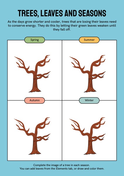 Trees, Leaves and Seasons