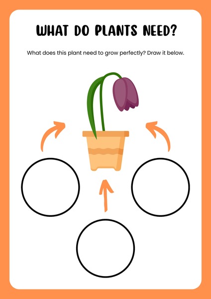 What do Plants Need?