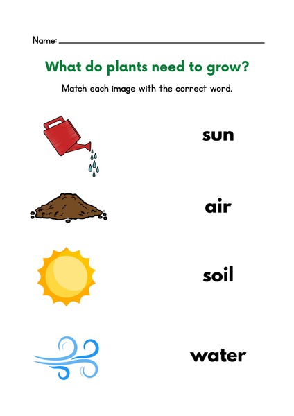 What do Plants Need to Grow? v.2