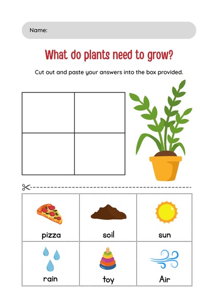 What do Plants Need to Grow?