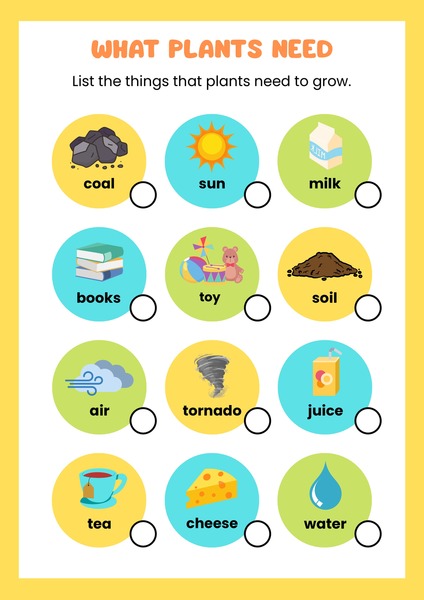 What Plants Need
