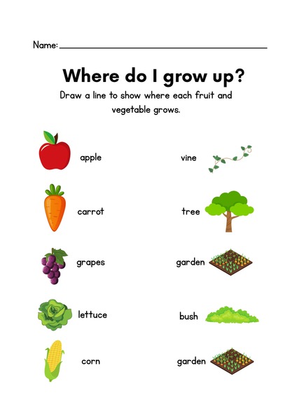 Where do I Grow Up?